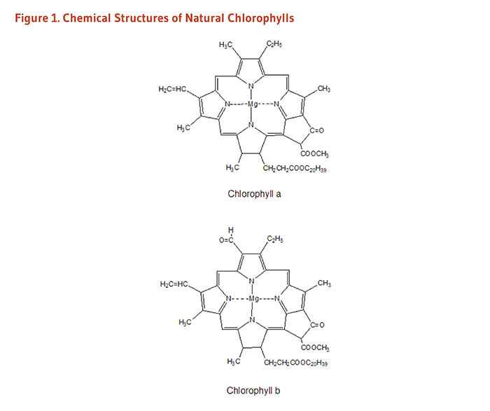chlorofyl